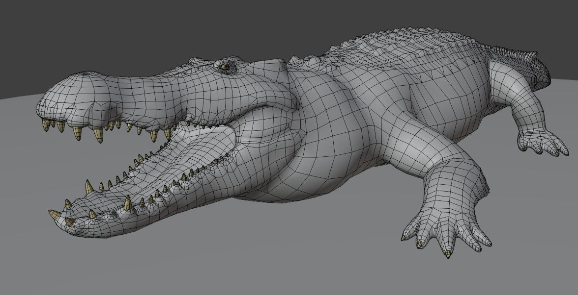 Saltwater Crocodile Animated  Low-poly 3D model_14