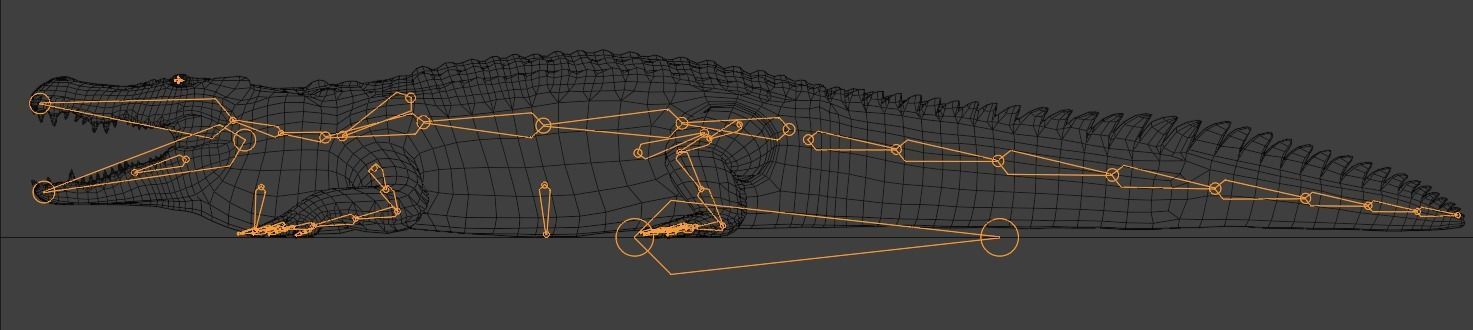 Saltwater Crocodile Animated  Low-poly 3D model_24
