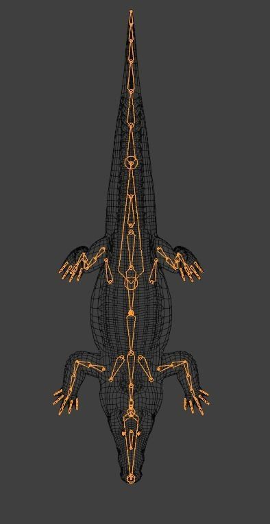 Saltwater Crocodile Animated  Low-poly 3D model_25