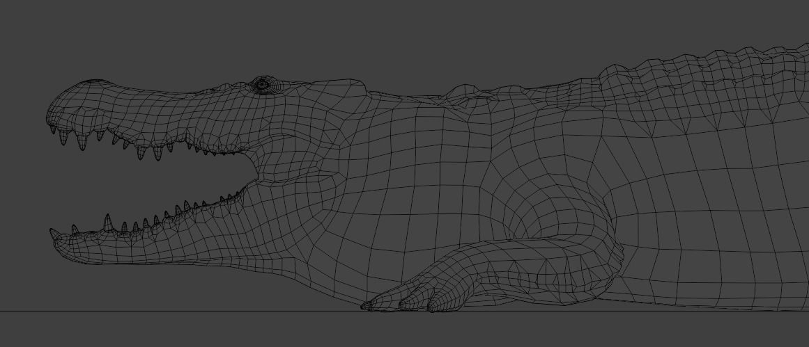 Saltwater Crocodile Animated  Low-poly 3D model_18