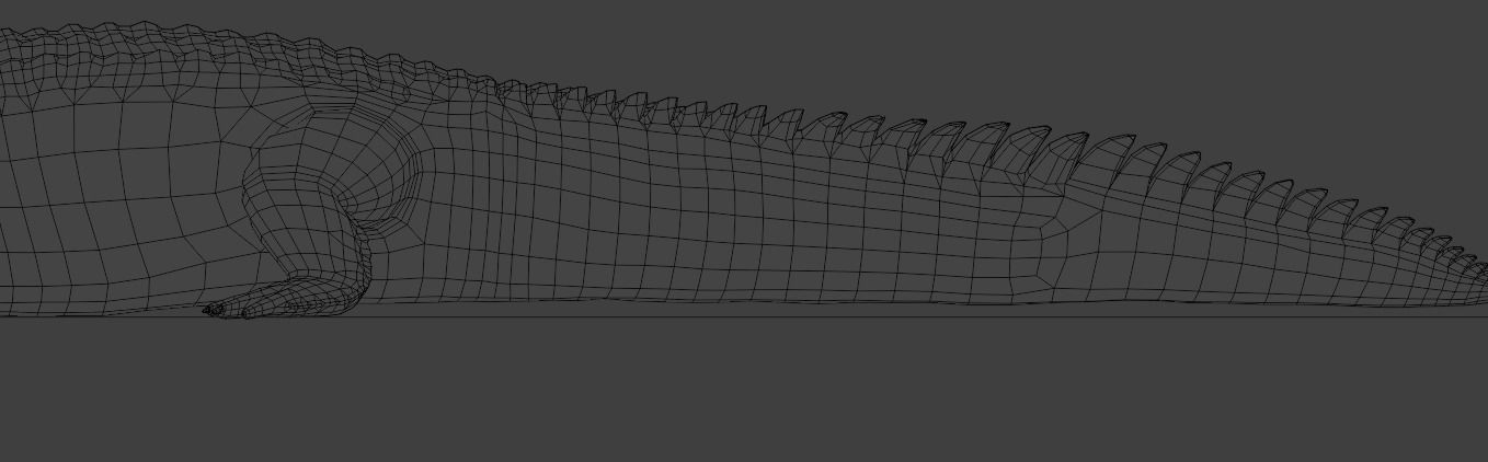 Saltwater Crocodile Animated  Low-poly 3D model_19