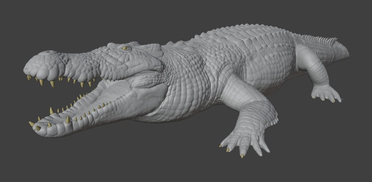 Saltwater Crocodile Animated  Low-poly 3D model_26