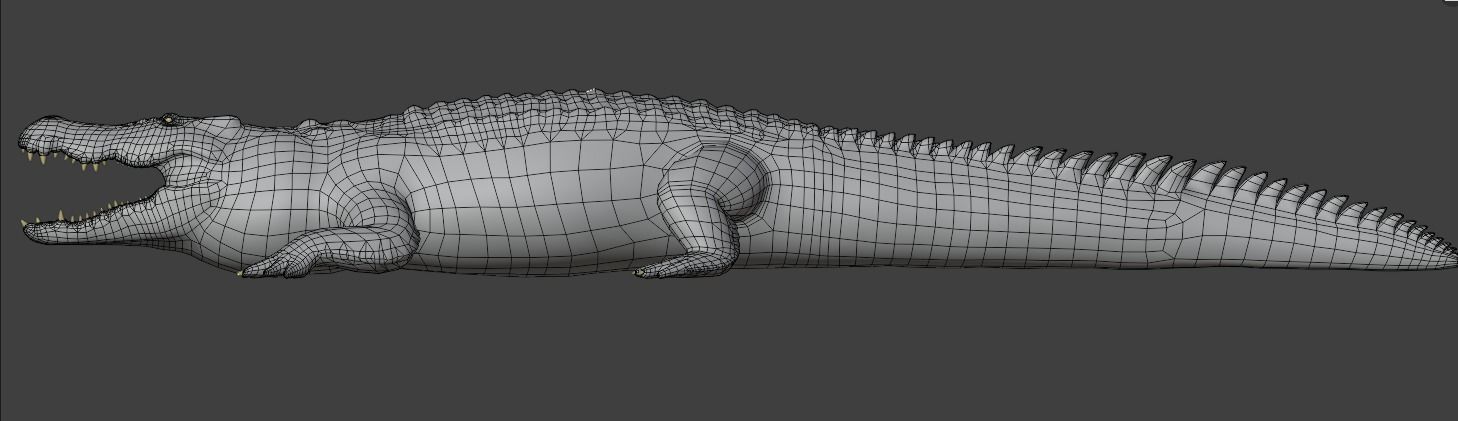 Saltwater Crocodile Animated  Low-poly 3D model_13