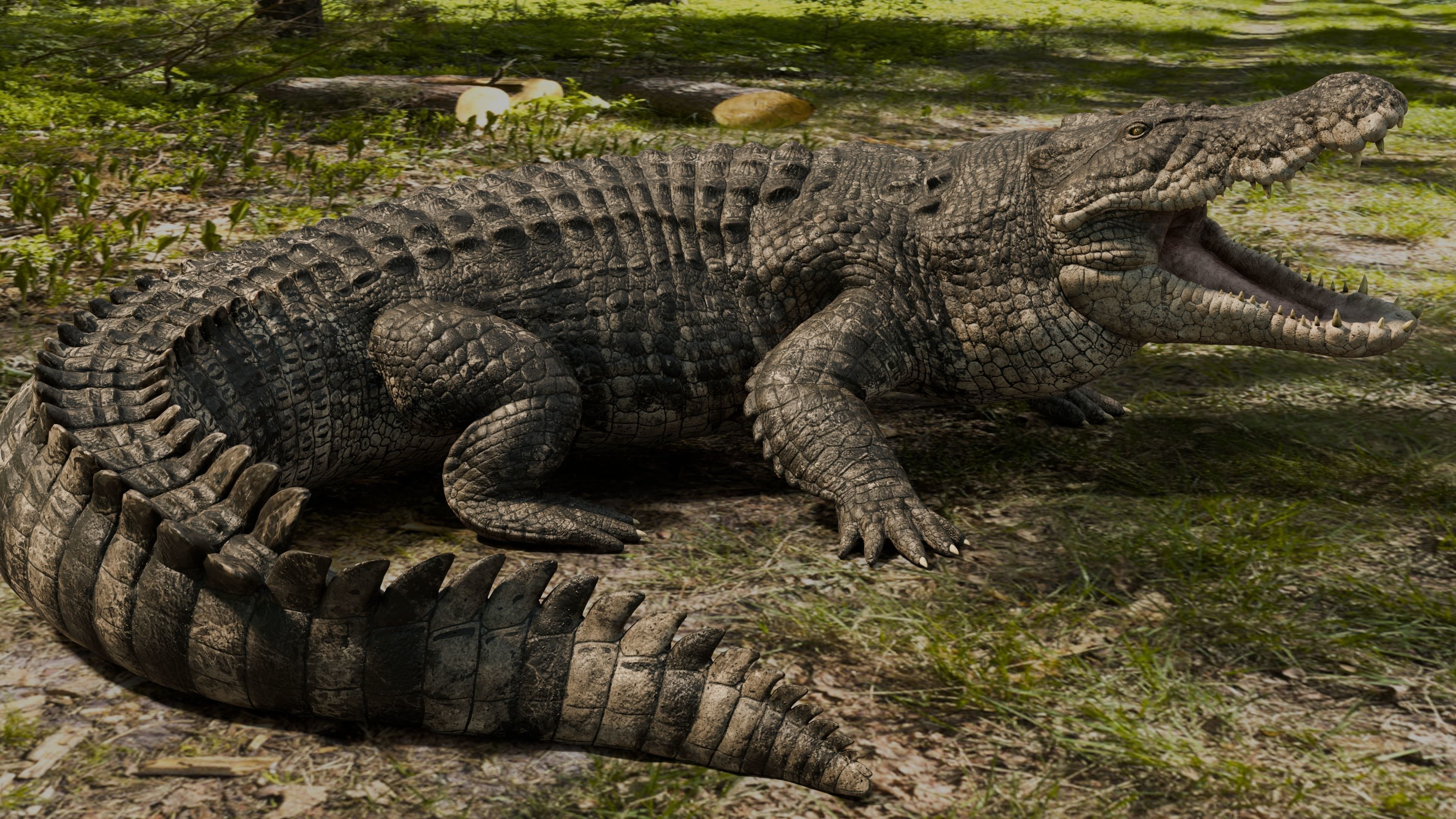 Saltwater Crocodile Animated  Low-poly 3D model_10