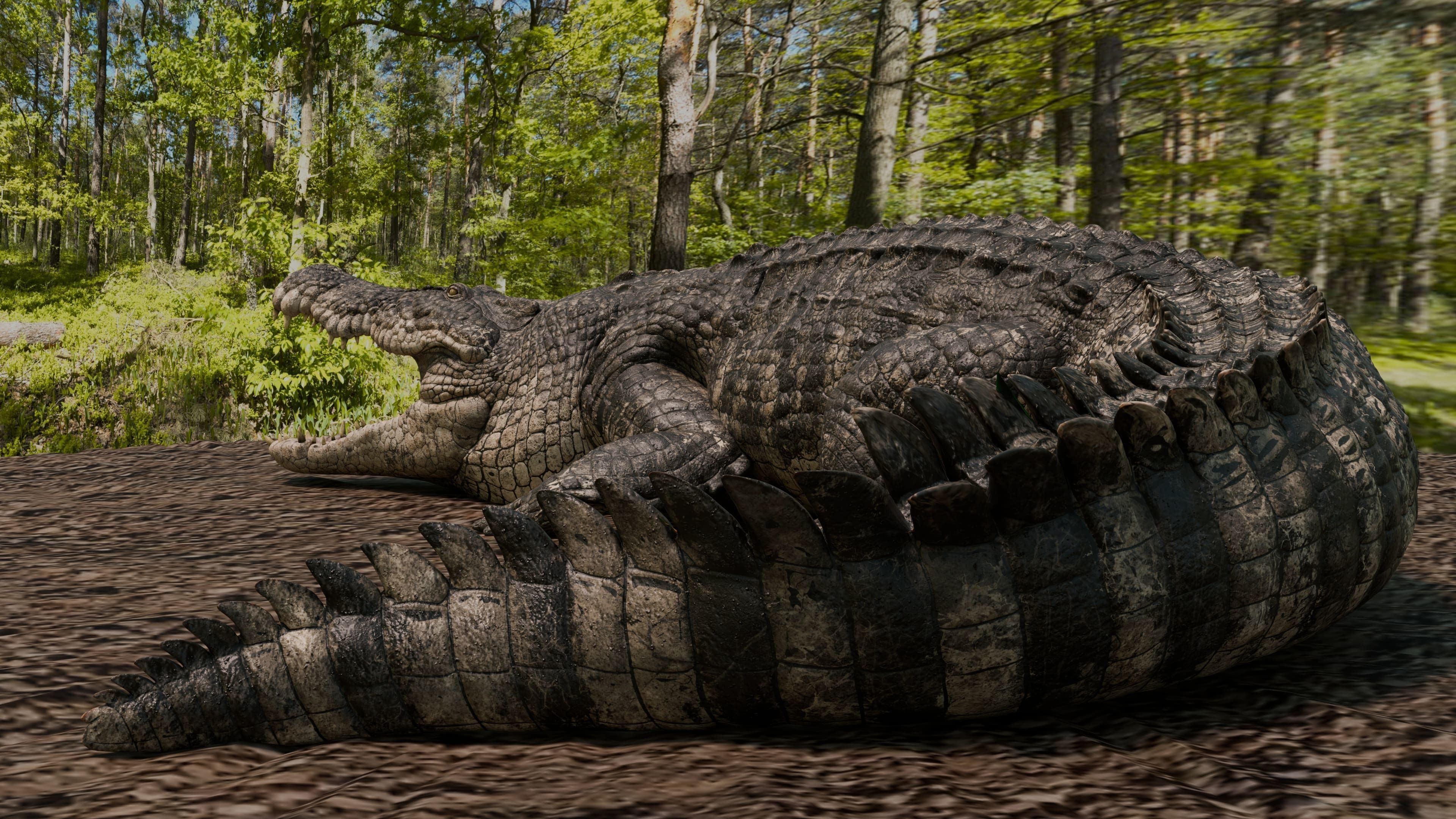 Saltwater Crocodile Animated  Low-poly 3D model_4