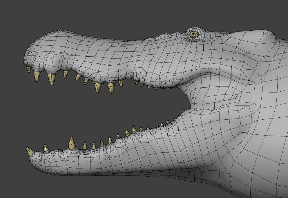 Saltwater Crocodile Animated  Low-poly 3D model_17