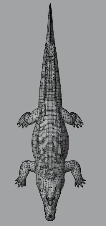 Saltwater Crocodile Animated  Low-poly 3D model_15