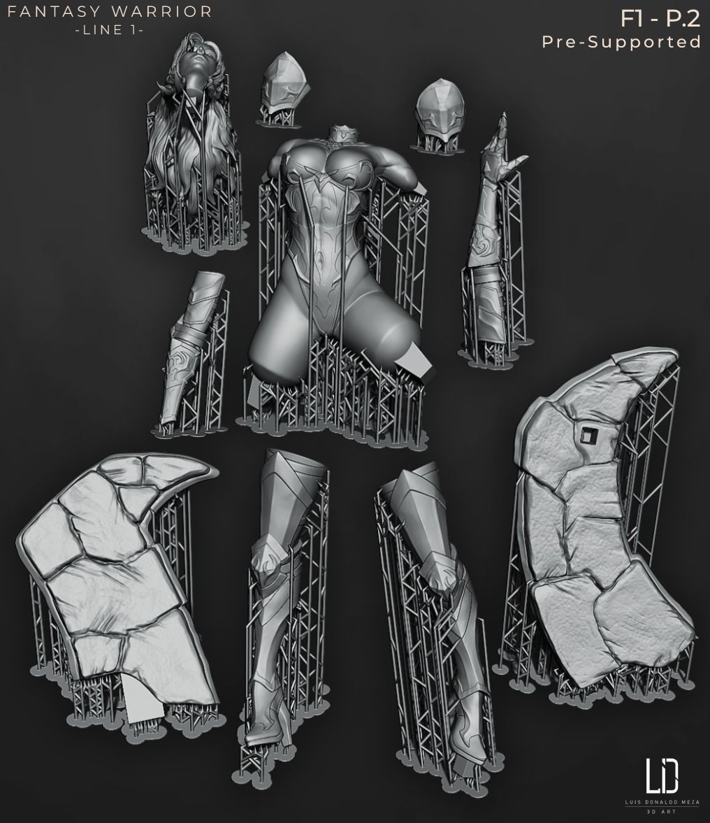 Fantasy Warrior - Line 1 - F1 3D print model_10