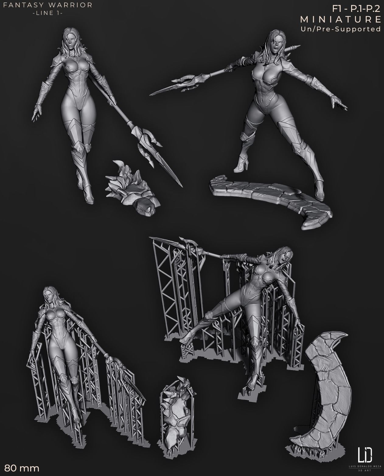 Fantasy Warrior - Line 1 - F1 3D print model_11