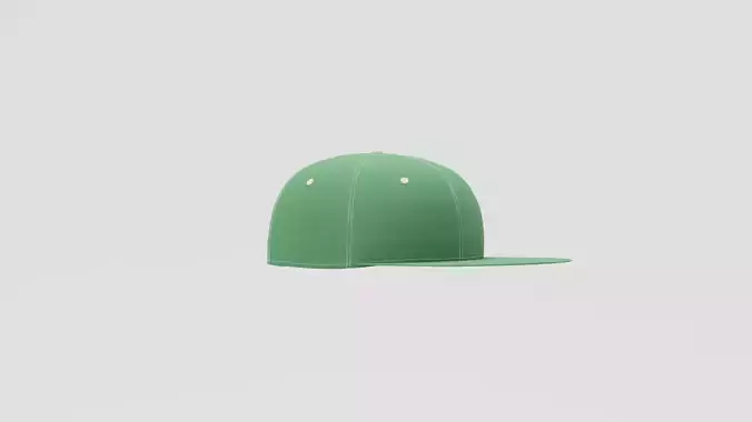 Hat Snapback