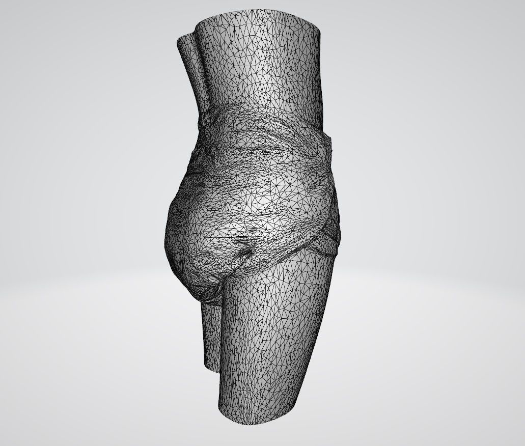 Tena Maxi Small 3D model_8