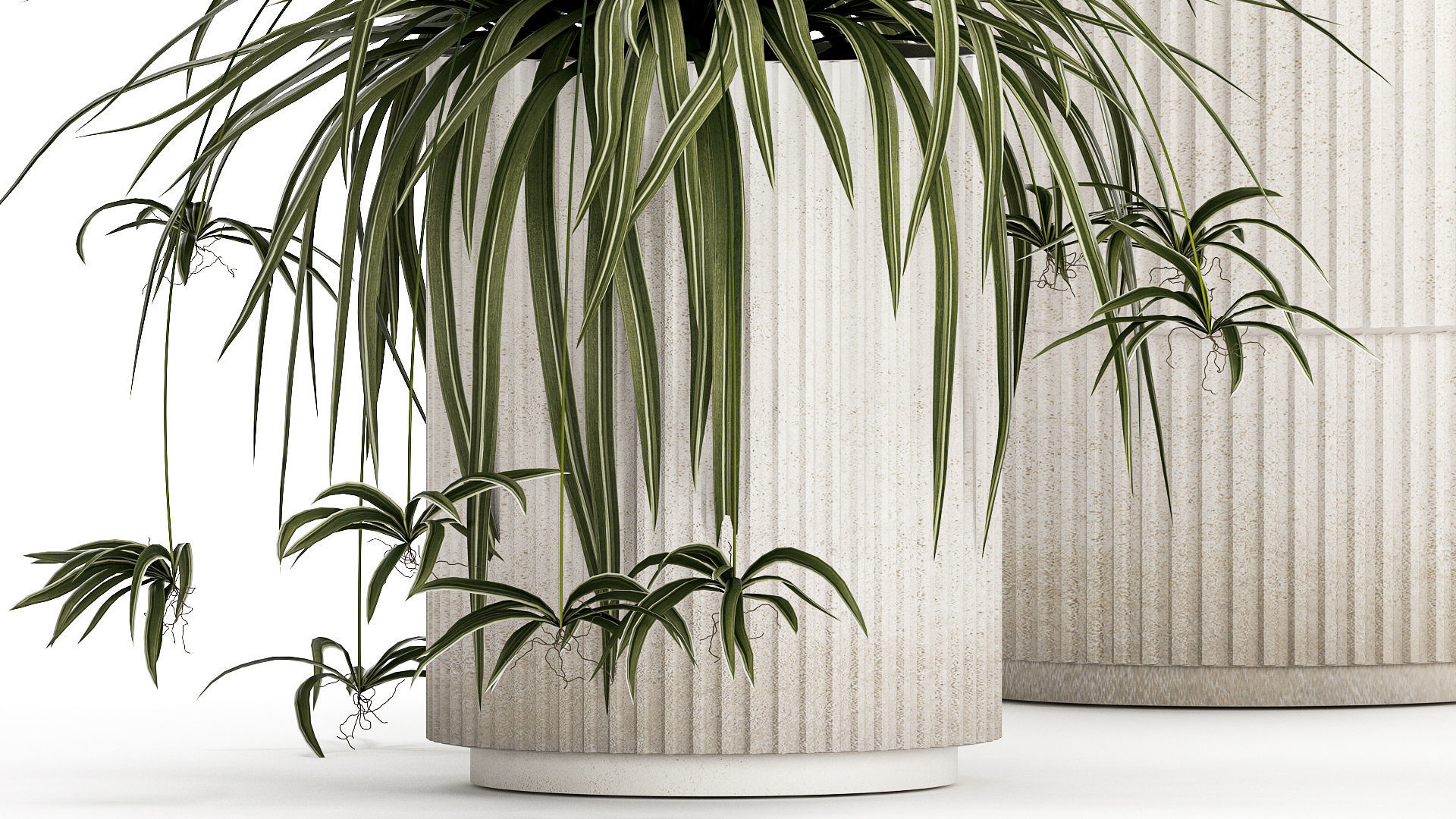 Beautiful plants Alocasia and Dracaena bush in a pot 1302 3D model_4