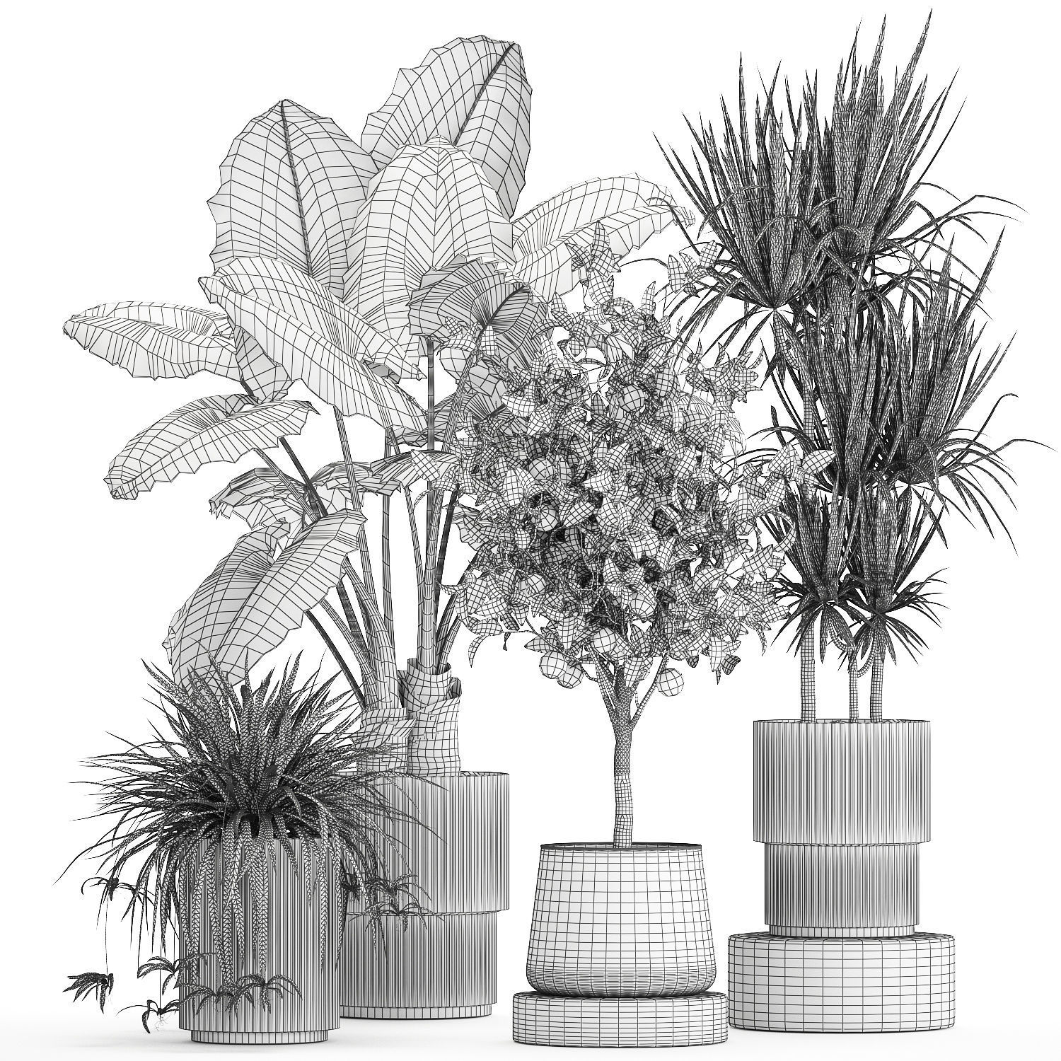 Beautiful plants Alocasia and Dracaena bush in a pot 1302 3D model_12