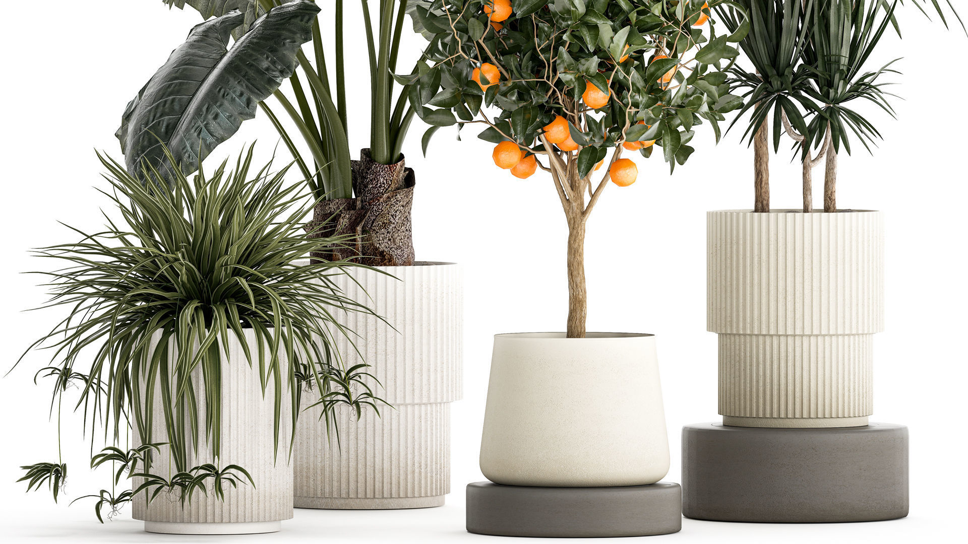 Beautiful plants Alocasia and Dracaena bush in a pot 1302 3D model_2