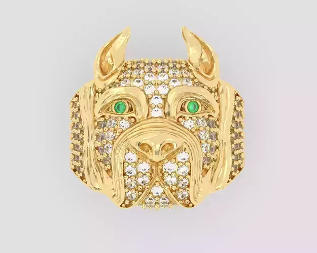 Pitbull Man Ring   3D print model