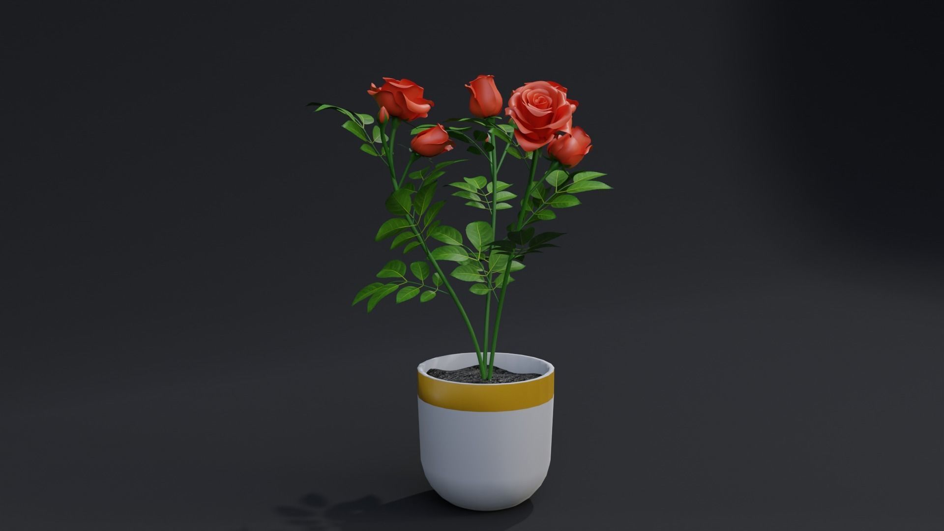 Small Rose Plant 3D model_2