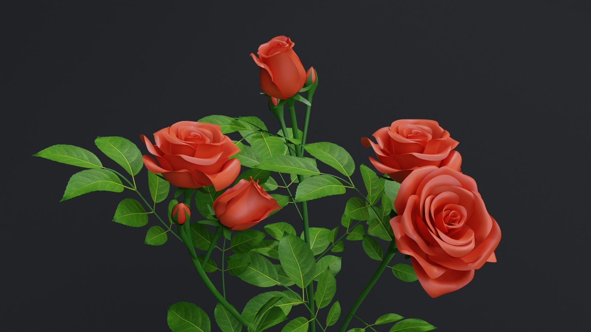 Small Rose Plant 3D model_3