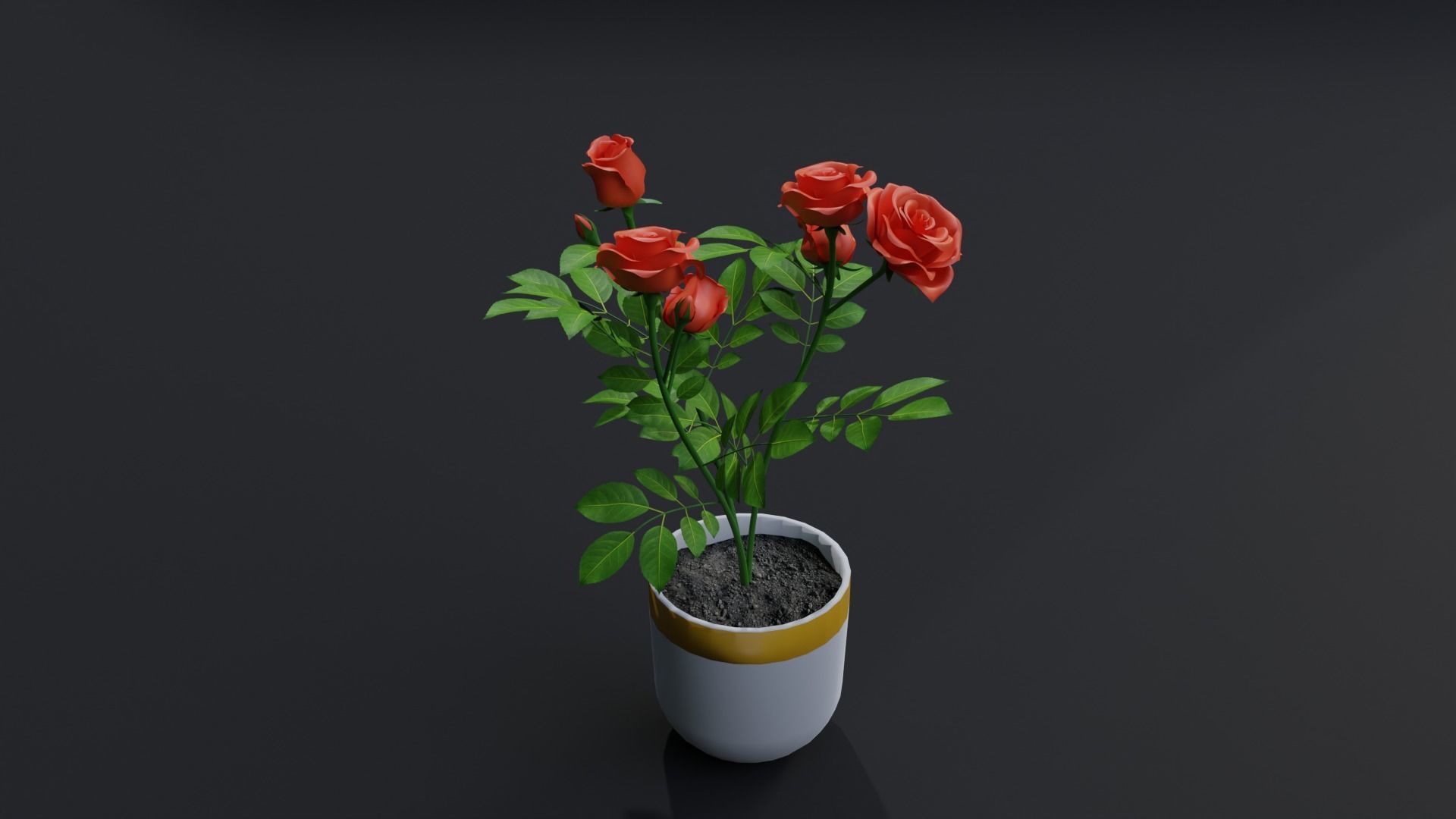 Small Rose Plant 3D model_1