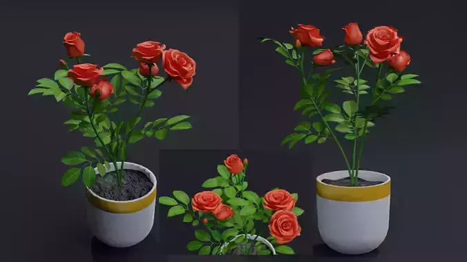 Small Rose Plant 3D model