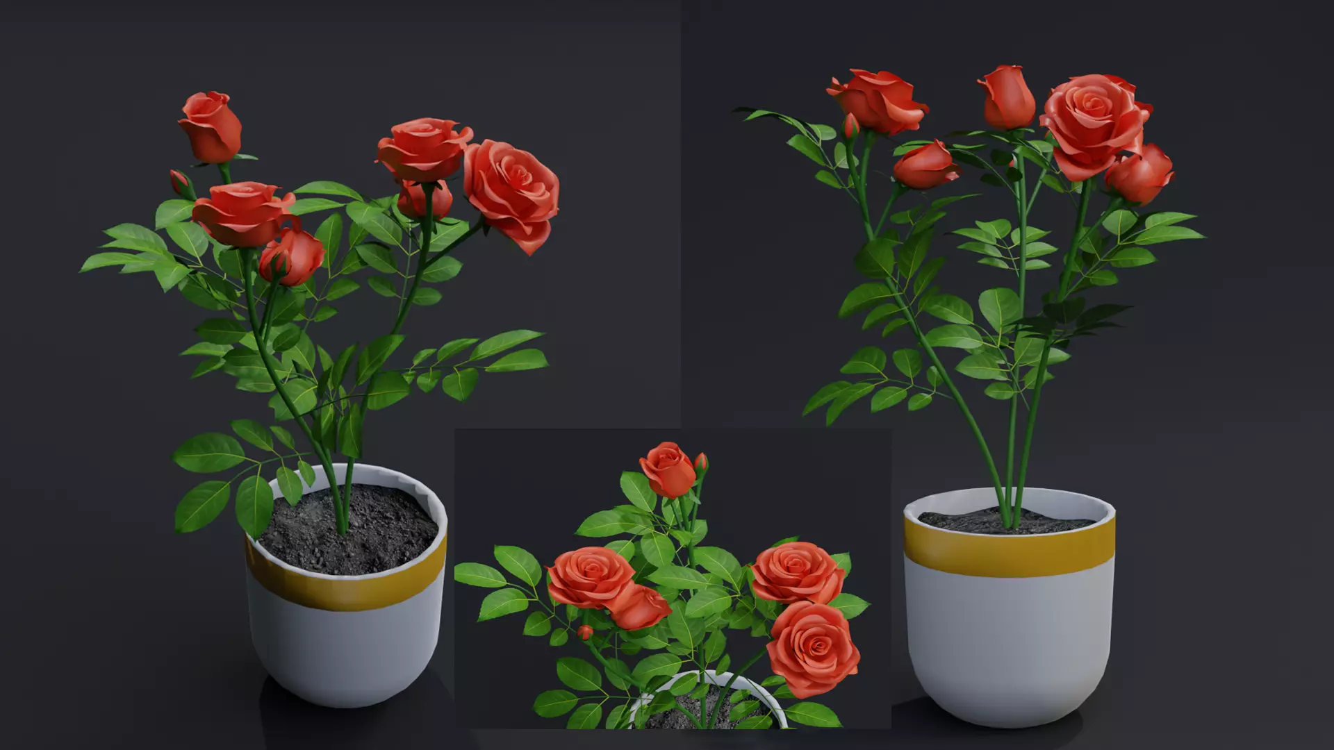 Small Rose Plant 3D model_0