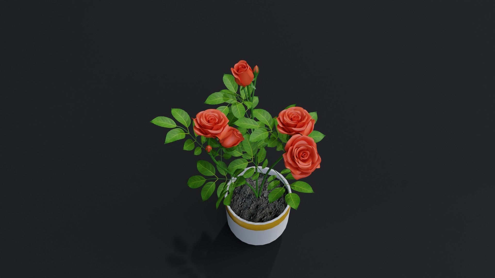 Small Rose Plant 3D model_4