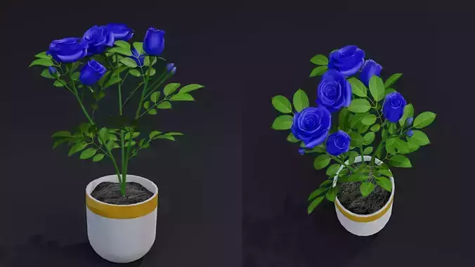 Small Rose Plant 3D model