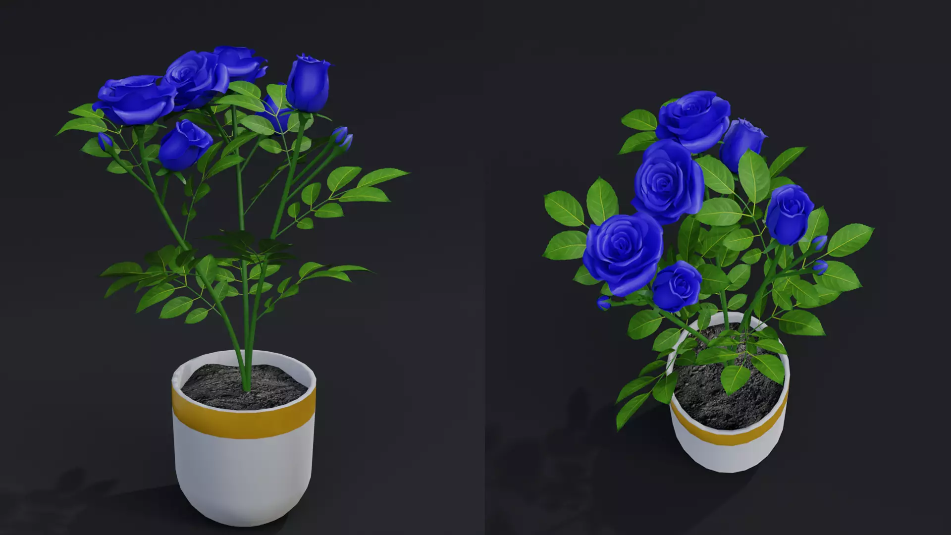 Small Rose Plant 3D model_0