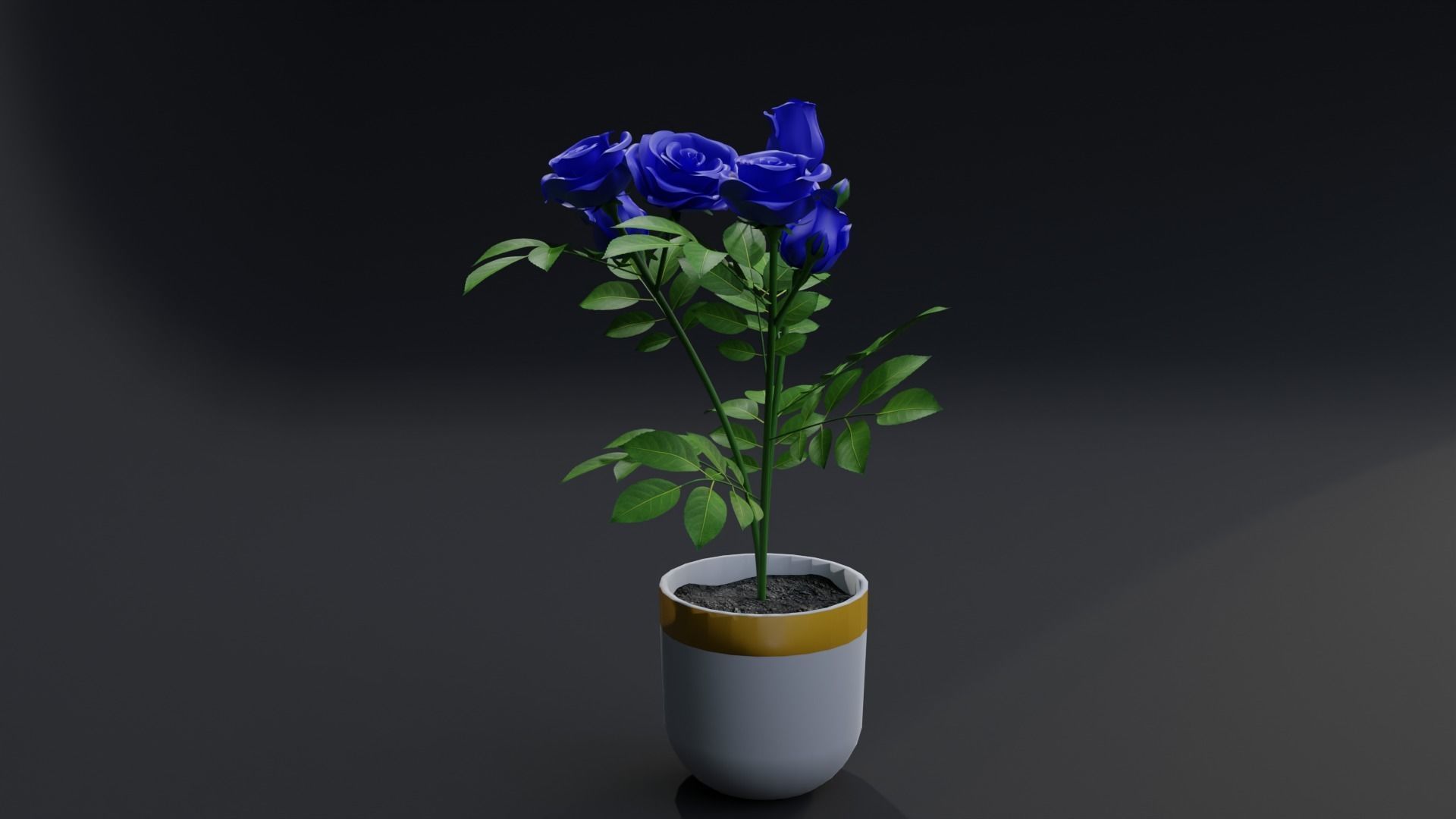 Small Rose Plant 3D model_3