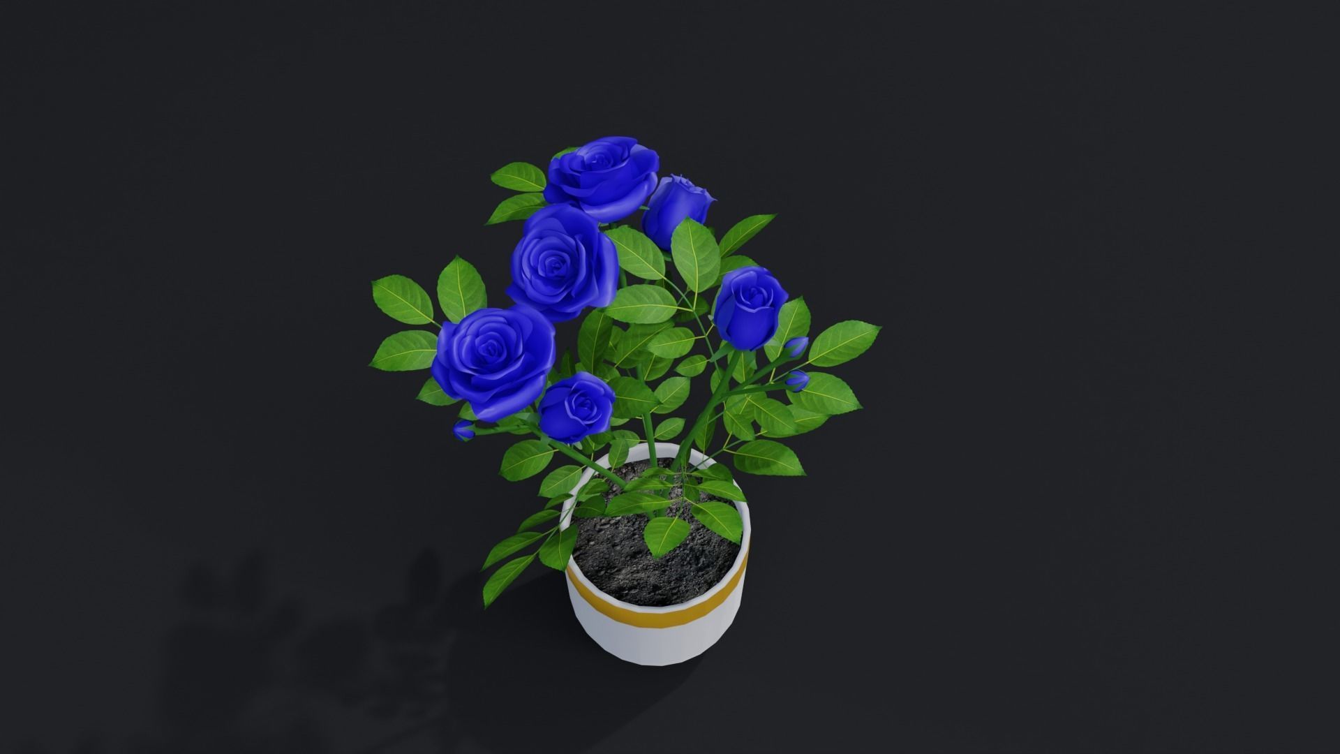 Small Rose Plant 3D model_1