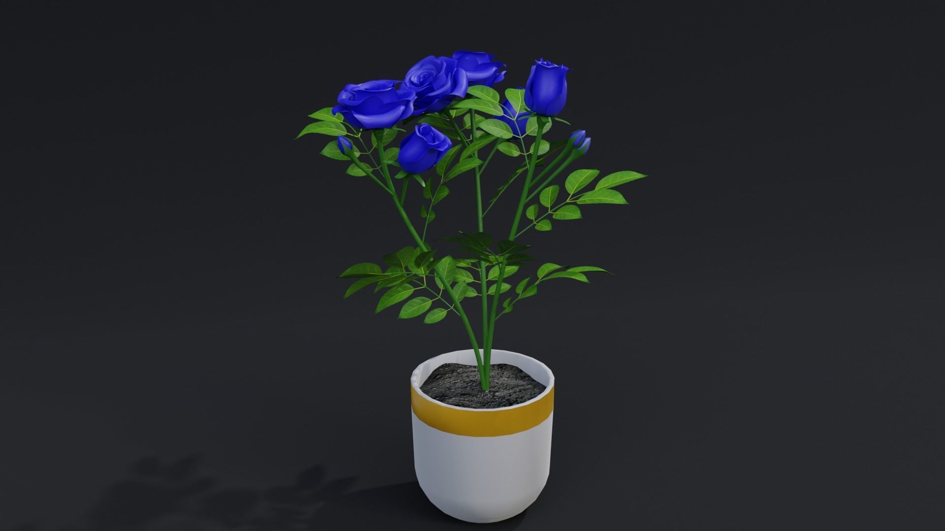 Small Rose Plant 3D model_2