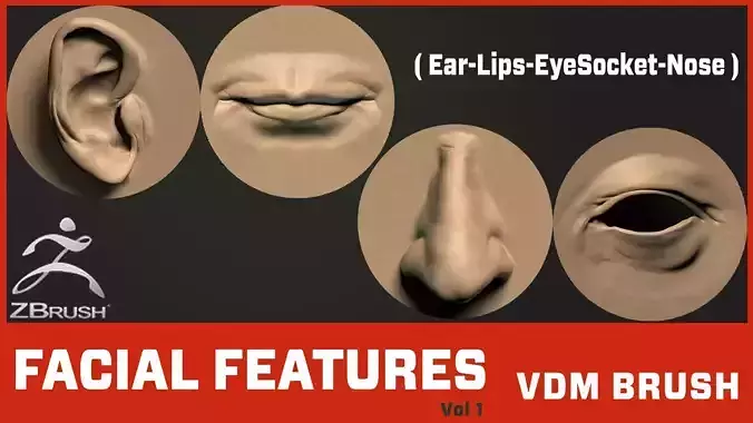 49 Facial Features VDM Brush Vol 1 3D model
