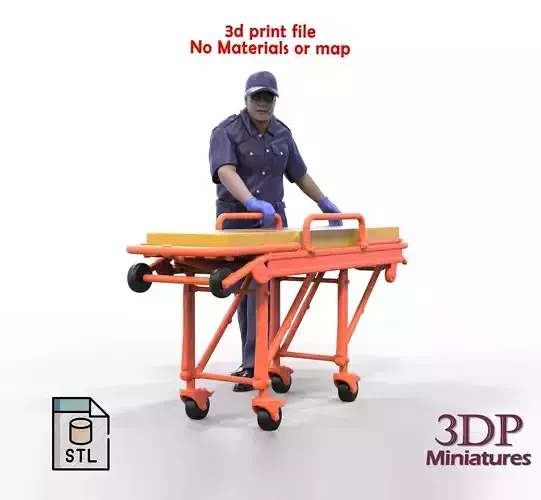 N3 paramedic emergency service 3D print model