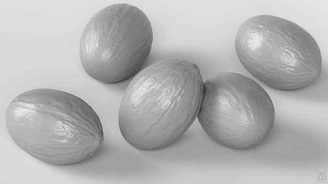 Melon 3D model 4