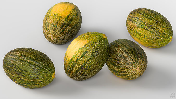 Melon 3D model 3