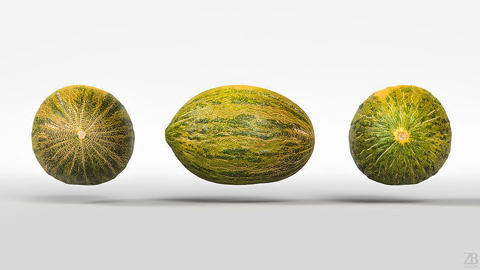 Melon 3D model 5