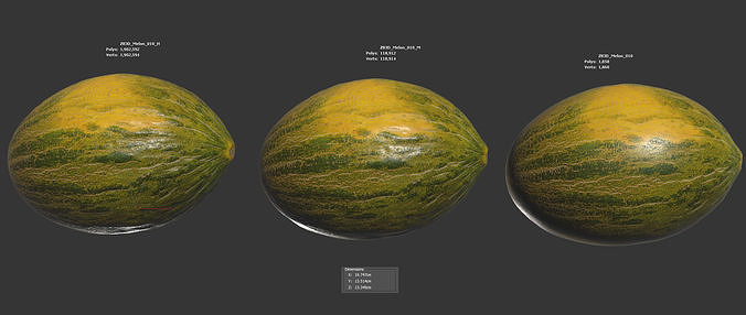 Melon 3D model 6