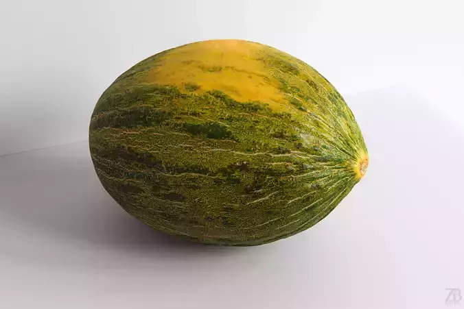 Melon 3D model