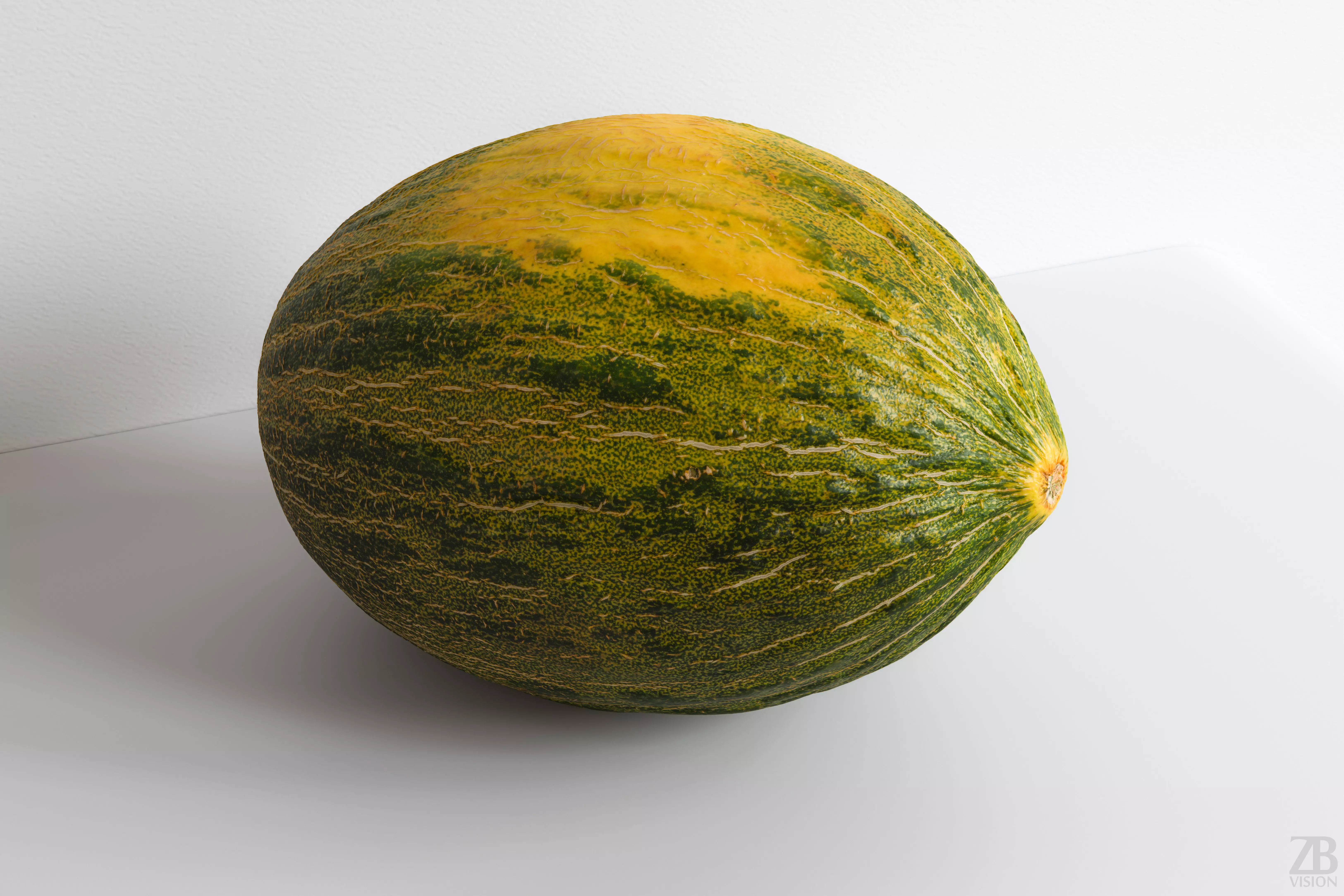 Melon 3D model_0