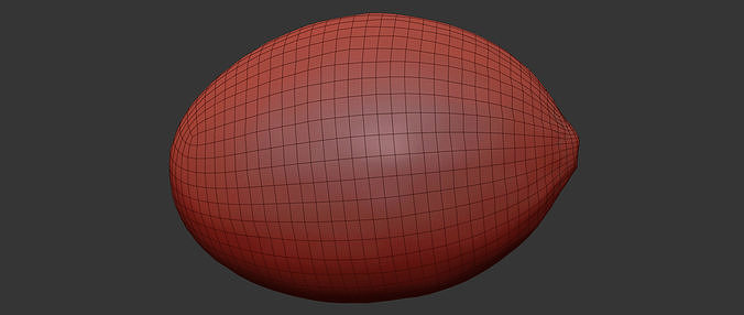 Melon 3D model 7