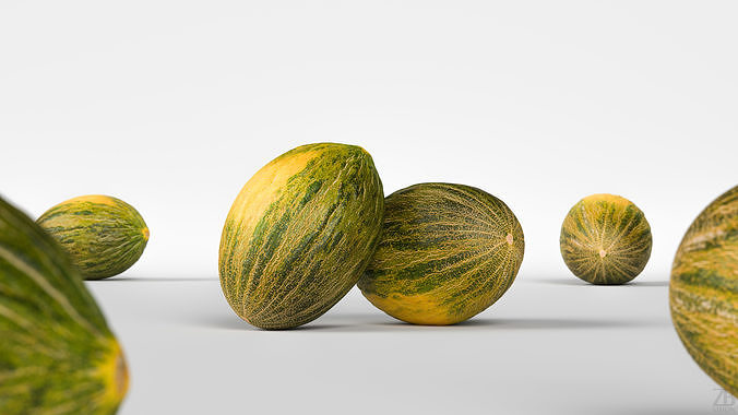Melon 3D model 2