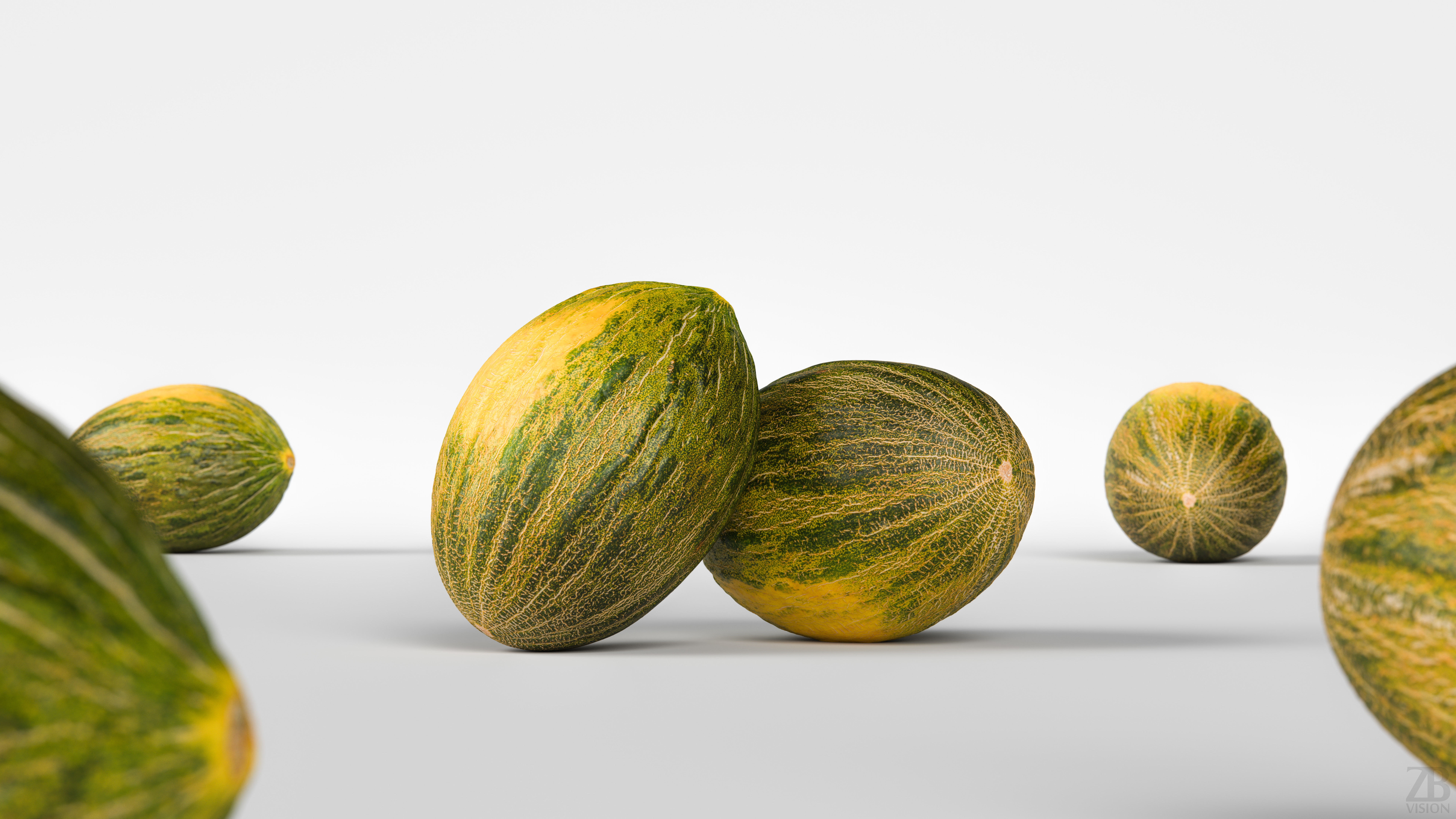 Melon 3D model_1