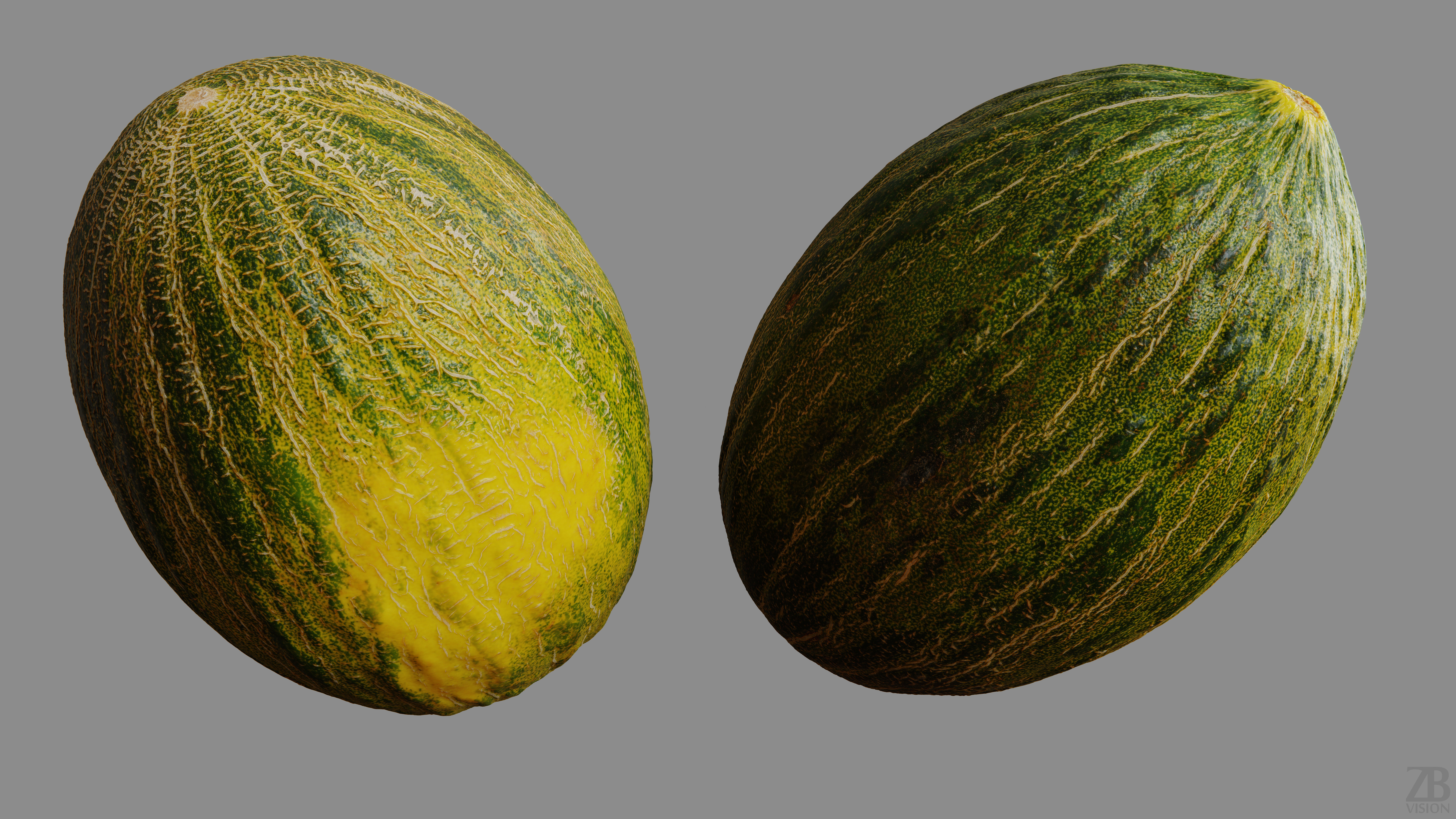 Melon 3D model_9