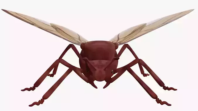 Ant with Wings