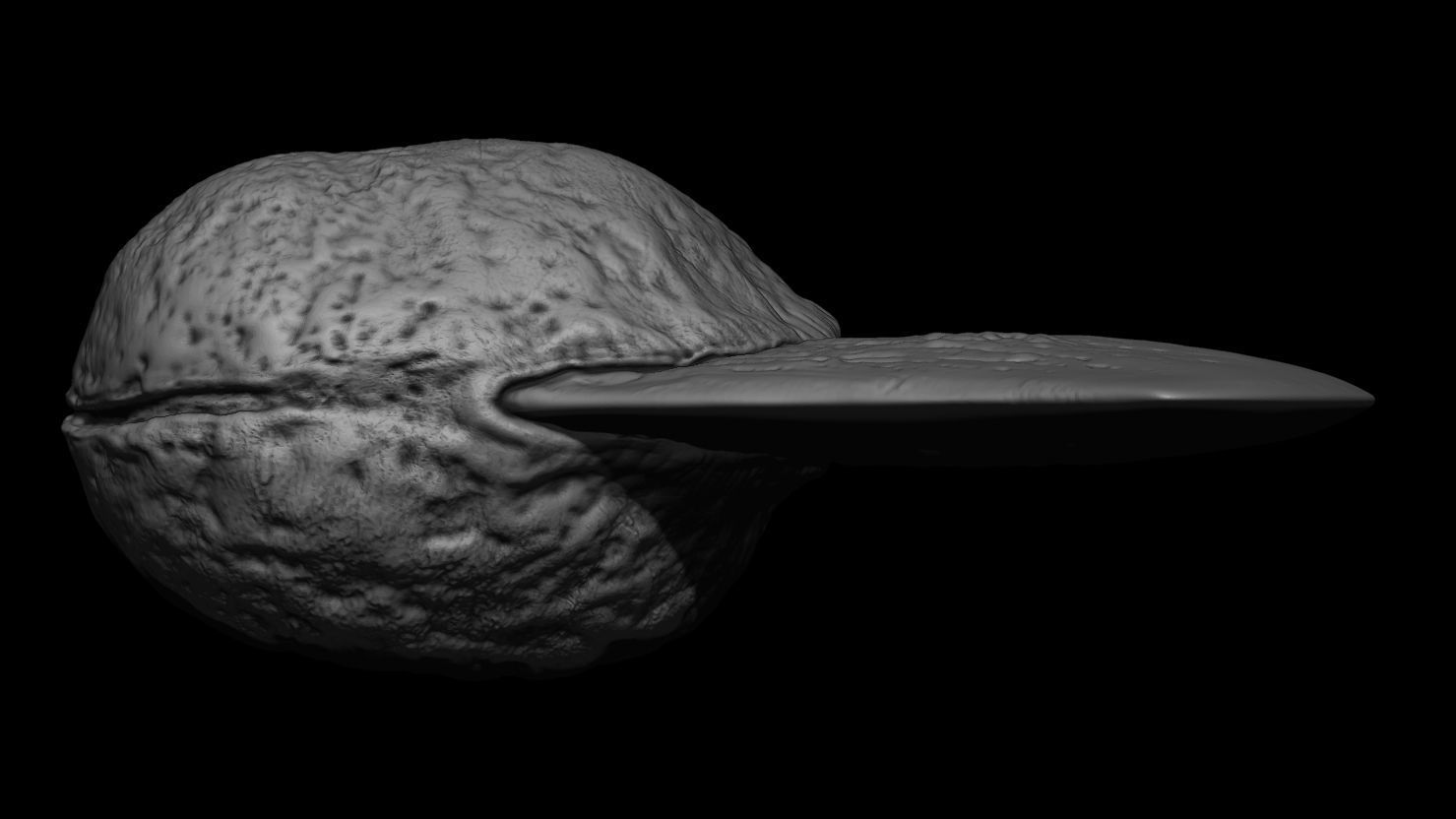 3D PRINTABLE SHAMAN PREDATOR BIOMASK AND SKULL AXE PREDATOR 2 3D print model_22