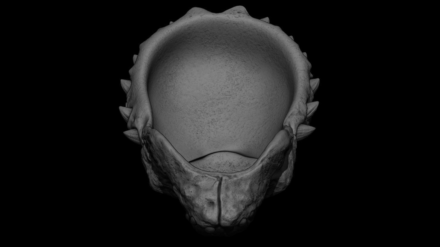 3D PRINTABLE SHAMAN PREDATOR BIOMASK AND SKULL AXE PREDATOR 2 3D print model_15