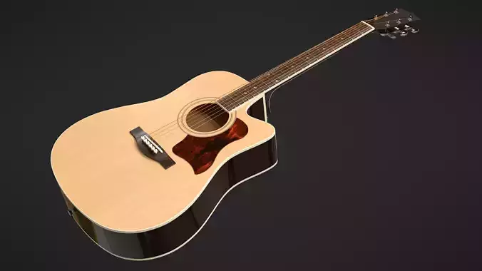 Auditorium Acoustic Guitar