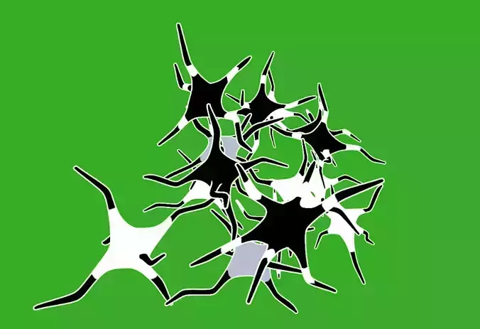 neuron brain activity animated neurons 3D model