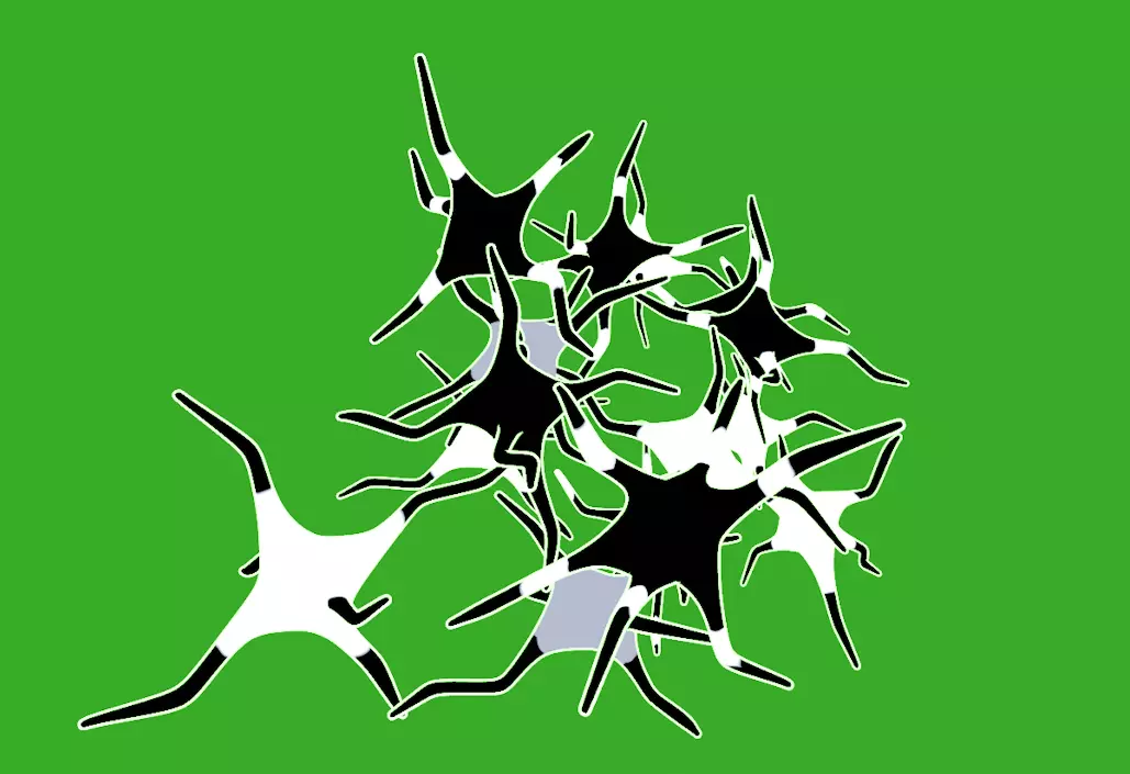 neuron brain activity animated neurons 3D model_0