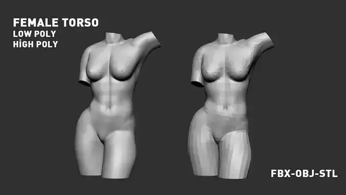 Female Torso 3