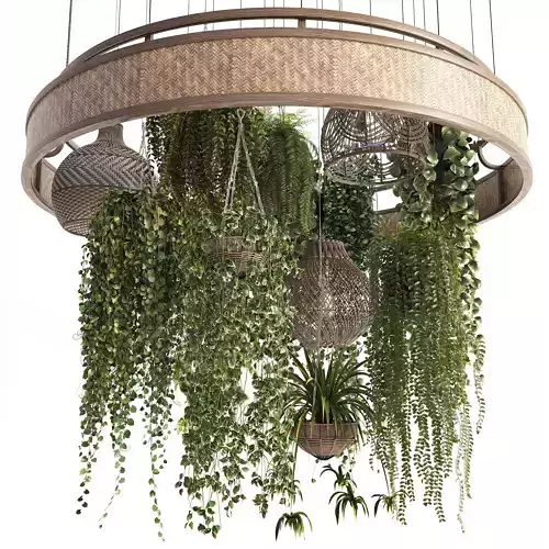 Plant Hangers with Wicker Pendants 3D model